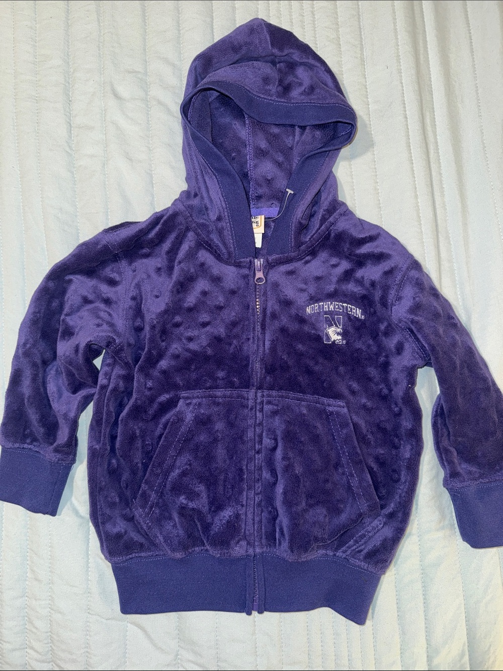 Northwestern Wildcats Minky Dot/Dimple Fleece Hoodie